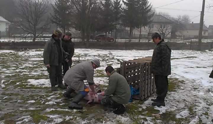 9. fotografia fotogalérie Zabíjačka v Nižnej Olšave