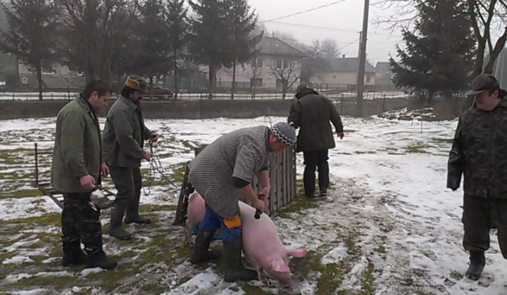 24. fotografia fotogalérie Zabíjačka v Nižnej Olšave